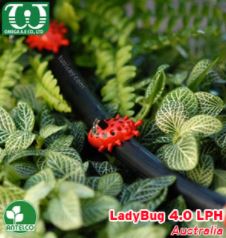 Béc tưới cây nhỏ giọt LadyBug